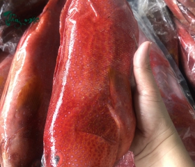 Nhà bếp đang sơ chế thực phẩm tươi 