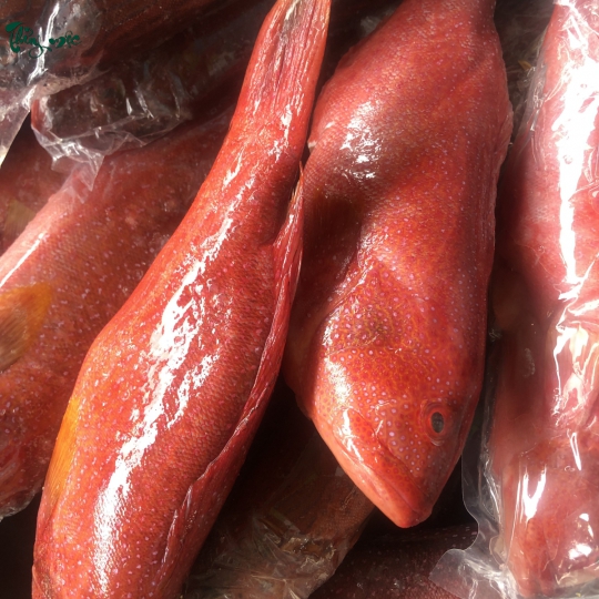 Nhà bếp đang sơ chế thực phẩm tươi 