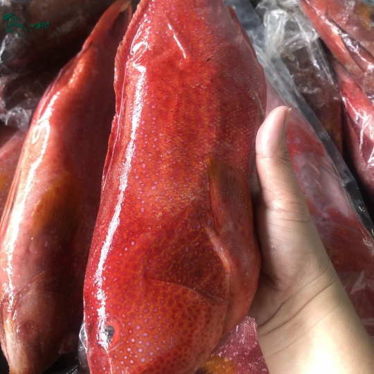 Nhà bếp đang sơ chế thực phẩm tươi 