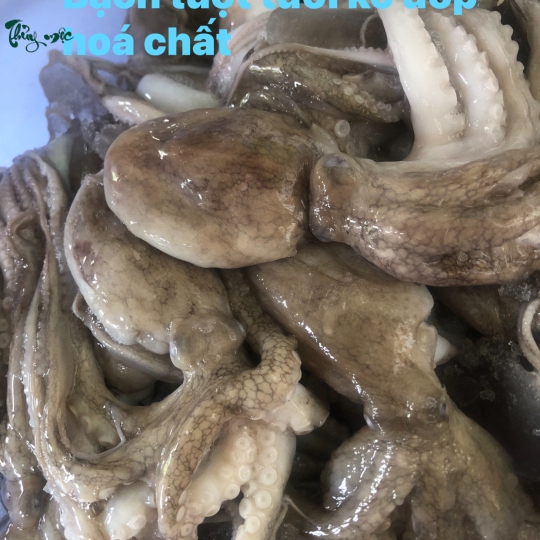 Nhà bếp đang sơ chế thực phẩm tươi 