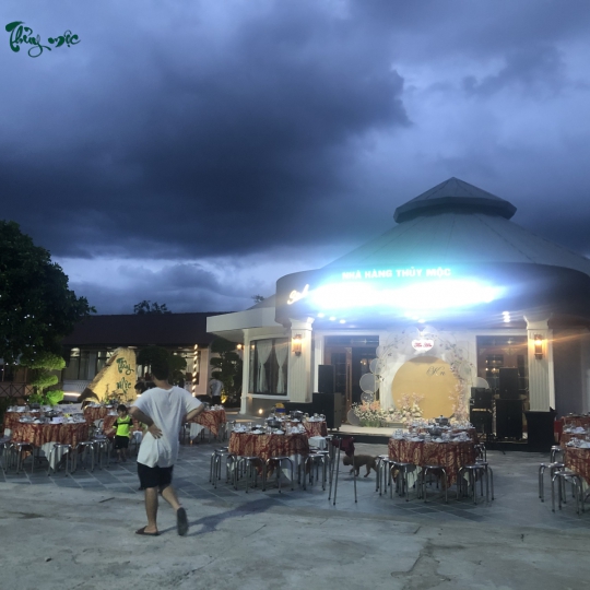 Tiệc sân vườn 