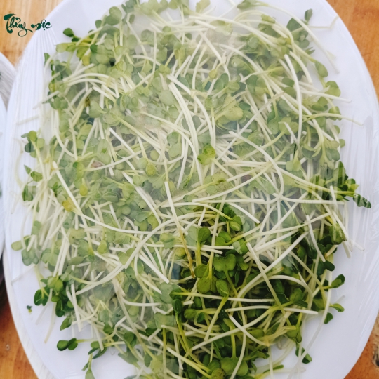 Bò né cải mầm