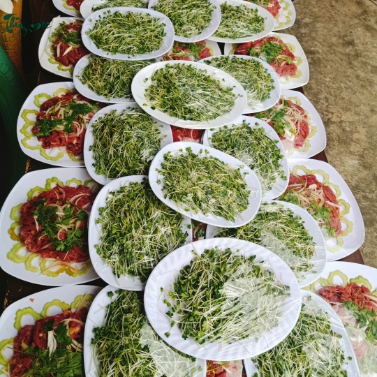 Bò né cải mầm